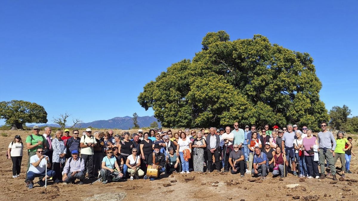 Festival de La Candela en Colmenar de Montemayor
