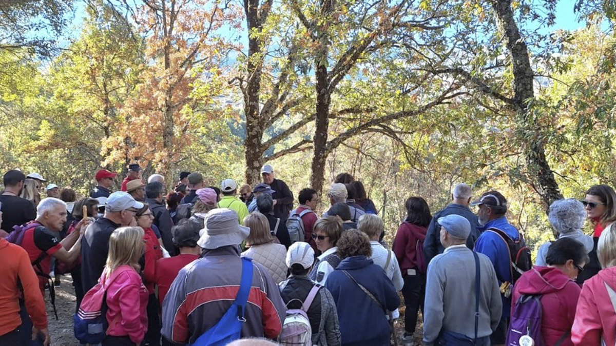Festival de La Candela en La Hoya