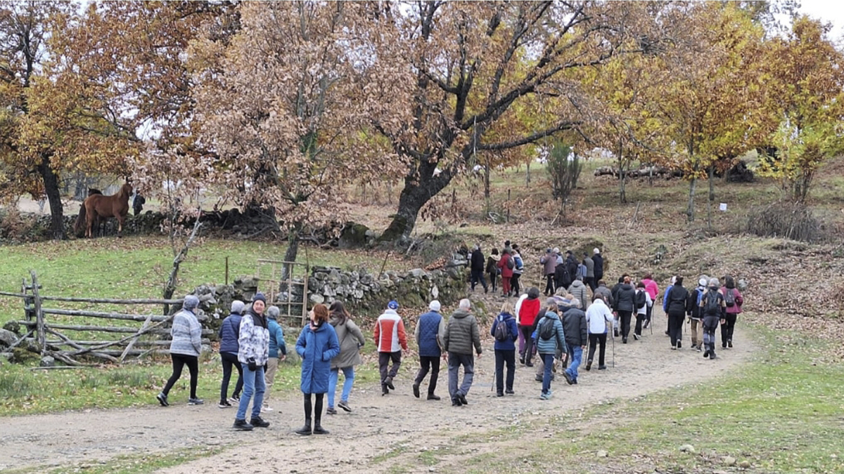 Más de 2.500 personas han participado en «El Festival de la Candela 2025»